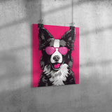 BORDER COLLIE wearing Sunglasses POP ART Look 11x14 PRINT POSTER