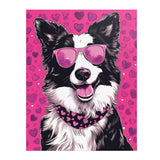 BORDER COLLIE wearing Sunglasses POP ART Look 11x14 PRINT POSTER