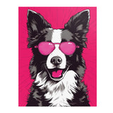 BORDER COLLIE wearing Sunglasses POP ART Look 11x14 PRINT POSTER