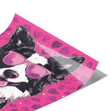 BORDER COLLIE wearing Sunglasses POP ART Look 11x14 PRINT POSTER