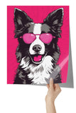 BORDER COLLIE wearing Sunglasses POP ART Look 11x14 PRINT POSTER