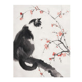 Beautiful BLACK & WHITE Tuxedo CAT 11x14 PRINT POSTER