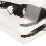 Beautiful BLACK & WHITE Tuxedo CAT 11x14 PRINT POSTER
