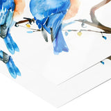 Eastern Bluebird 12x18 Poster, Matte or Glossy