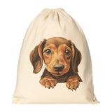 Peeking Dachshund Drawstring Canvas Backpack