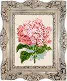 Instant Download VINTAGE GREETING CARD - PINK HYDRANGEA - J & S Graphics