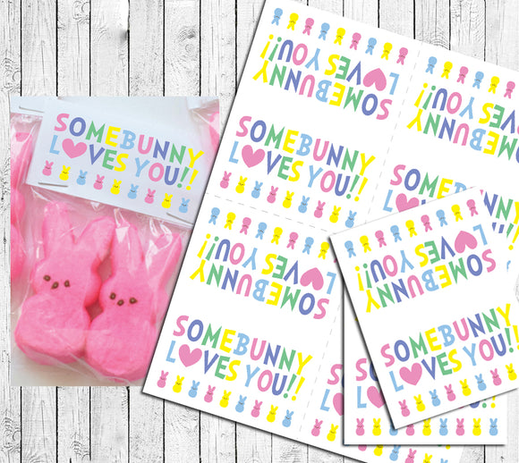 EASTER BUNNY SOME BUNNY LOVES YOU Goody Bag Toppers Instant Download, Peeps - J & S Graphics
