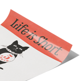 12x18_Reprint_Poster_of_1896_Black_Cat_A_12x18_Fold_V_Mockup.png_15864308