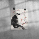 Beautiful BLACK & WHITE Tuxedo CAT 11x14 PRINT POSTER