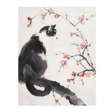 Beautiful BLACK & WHITE Tuxedo CAT 11x14 PRINT POSTER