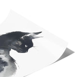 Beautiful BLACK CAT 11x14 PRINT POSTER