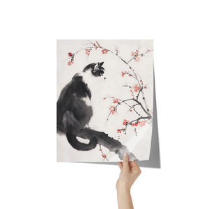 Beautiful BLACK & WHITE Tuxedo CAT 11x14 PRINT POSTER