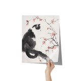 Beautiful BLACK & WHITE Tuxedo CAT 11x14 PRINT POSTER