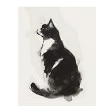Beautiful BLACK & WHITE Tuxedo CAT 11x14 PRINT POSTER