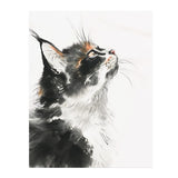 Beautiful BLACK & WHITE Tuxedo CAT 11x14 PRINT POSTER