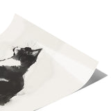 Beautiful BLACK & WHITE Tuxedo CAT 11x14 PRINT POSTER