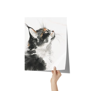 Beautiful BLACK & WHITE Tuxedo CAT 11x14 PRINT POSTER