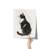 Beautiful BLACK & WHITE Tuxedo CAT 11x14 PRINT POSTER