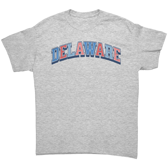 Delaware_Unisex_T-Shirt_State_Pride_Ash_Grey_Front_Mockup.png