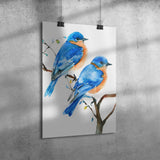 Eastern Bluebird 12x18 Poster, Matte or Glossy