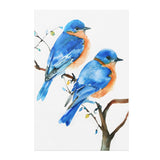 Eastern Bluebird 12x18 Poster, Matte or Glossy