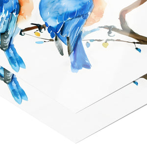 Eastern Bluebird 12x18 Poster, Matte or Glossy