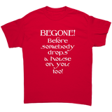 Glinda_the_Good_Witch_-_BEGONE_Before_s_Red_Front_Mockup.png_15510125