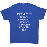 Glinda_the_Good_Witch_-_BEGONE_Before_s_Royal_Front_Mockup.png_15510124