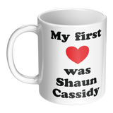 My_First_Love_was_Shaun_Cassidy_White_or_LH_Main_Mockup.png