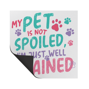 My_Pet_is_Not_Spoiled_Vinyl_Car_Magnet__SquareCarMagnet_Folded_Mockup.png