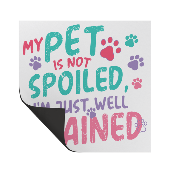 My_Pet_is_Not_Spoiled_Vinyl_Car_Magnet__SquareCarMagnet_Folded_Mockup.png