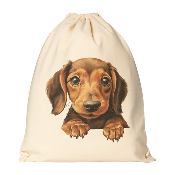 Peeking Dachshund Drawstring Canvas Backpack