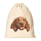Peeking IRISH SETTER Drawstring Canvas Backpack