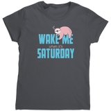 Wake_Me_When_its_Saturday_Sloth_Gildan__Charcoal_Mockup.png