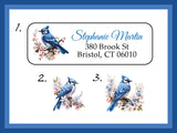 Personalized Blue Jays Return Address Labels, 30 per set - J & S Graphics