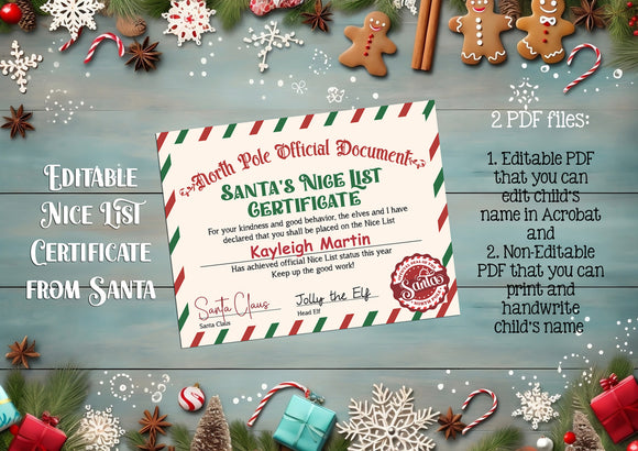 Editable Santa's Nice List Certificate Printable Official Document from Santa Instant Download Template, you Print for boy or girl