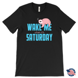 Wake Me When it's Saturday Sloth T-Shirt, Men's, Women's, Childrens