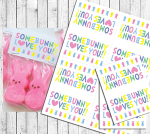 EASTER BUNNY SOME BUNNY LOVES YOU Goody Bag Toppers Instant Download, Peeps - J & S Graphics