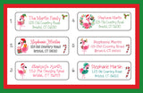 Personalized CHRISTMAS FLAMINGOS Theme Address Labels, Return Address Labels, Sets of 30, tropical